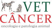 Vet Câncer – Oncologia e Patologia Animal | Clínica Veterinária  em São Paulo
